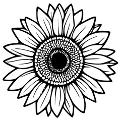 Sunflower Outline Vector Art