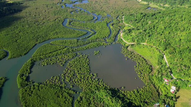 Scenic Rivers And Vegetation In Batalay, Bato, Catanduanes - Drone Shot
