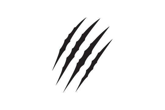 Claw marks silhouette vector art illustration on white background