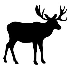 Fototapeta premium silhouette of a deer