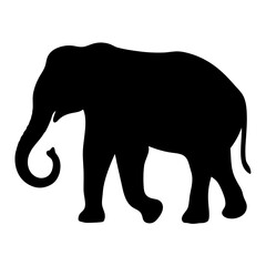 Fototapeta premium silhouette of a elephant