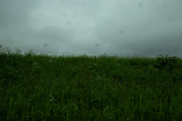 曇り空と野原