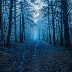 Obraz premium Foggy Forest Trail in Moody Blue Tones at Dawn