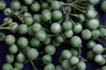 Healthy Food Concept, Fresh Organic green pea eggplants