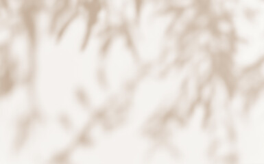 Brown shadow of tree plant leaves overlay on the wall. Sunlight effect shadow on the wall. Minimal blurred backdrop backgrounds. Autumn summer tropical surface background.