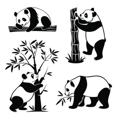 beautiful panda icon set isolated on white background.