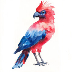 Fototapeta premium A single watercolor Chilean chamanto