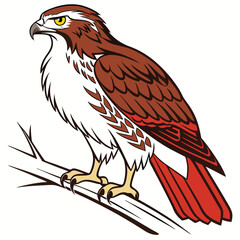 Eagle in Flight vector image