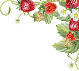 Watercolor illustration of corner with juicy strawberries and foliage decorating. Suitable for postcards, invitations, banners, birthday parties, printed products