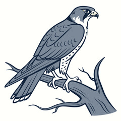 eagle vector design