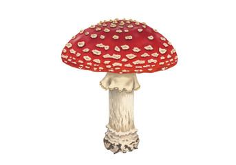 Isolated Classic Red and White Toadstool Mushroom