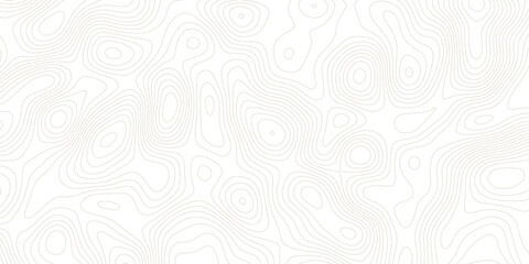 Topographic map lines, contour background, Vector contour topographic map background.