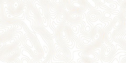 Topographic map lines, contour background, Vector contour topographic map background.