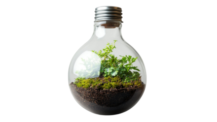 Creative Light Bulb Terrarium Featuring Fresh Soil and Lush Green Moss Isolated on White Background