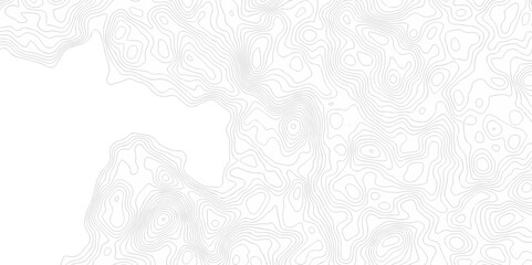 Seamless pattern with lines White wave paper curved reliefs abstract background, Abstract topographic contours map background. Abstract black and white topographic contours line.	
