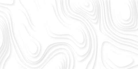 Fototapeta premium Abstract white paper cut background with lines. Background of the topographic map. White wave paper curved reliefs abstract background. Realistic papercut decoration textured with wavy layers. 