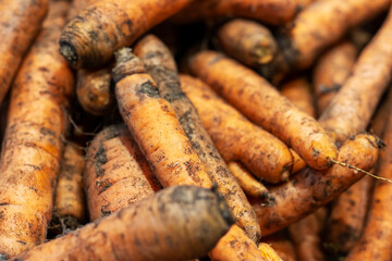 A bunch of fresh carrots is sitting on top of one another on a table