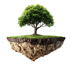Climate Resilience Symbol Isolated PNG Transparent Cutout