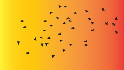 Silhouette of flock of birds flying in the golden sky, isolated background, vector illustration.
