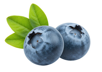 Isolated Fresh Blueberries with Green Leaves Close-up