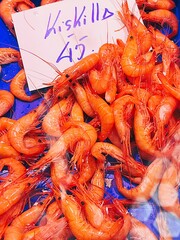 Beautifull close up of baby shrimp at the fish mongers, Kiskilla in Euskera, Quisquilla in Spanish.