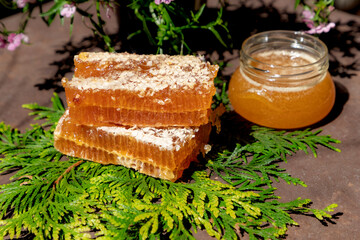 Forest Honey and Honeycomb, Jar on a Bed of Greenery
