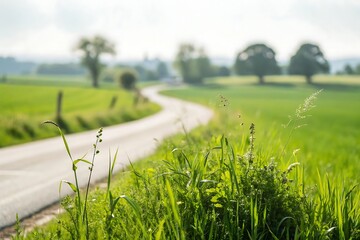 Serene countryside road winding through lush greenery