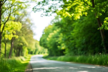 Serene blurred pathway through a lush green forest