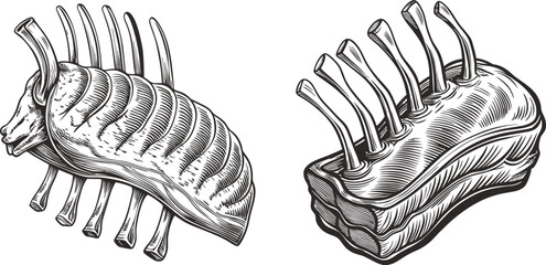 Rack of lamb cuts delicious meat food ink sketch black and white engraving monochrome vector illustration