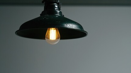 A single light bulb hangs from a black metal fixture.