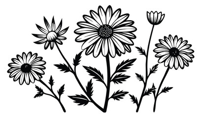 Black and white illustration of daisies and flowers