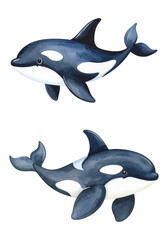シャチの水彩画イラスト、セット素材