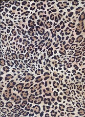 Luxury leopard background. Wild tiger pattern. Pantera animal print. Cheetah print. Snow leopard fur. © Feoktistova