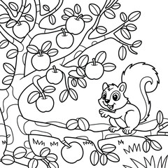 Cute squirrel sitting on a tree branch with apples for coloring