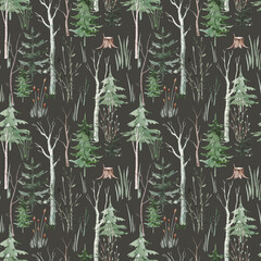 Seamless pattern with watercolor pine trees and spruces, hand drawn on white background