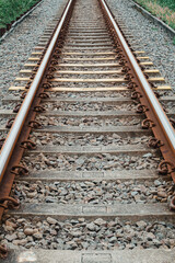 A vintage railway track extending into the distance with green foliage on its side