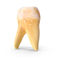 Tooth Isolated on Transparent Background
