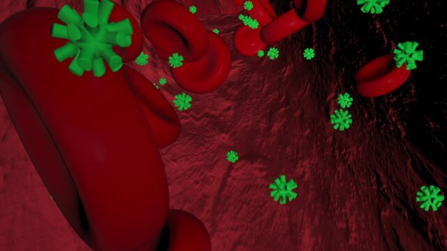 3D animation of uric acid molecules and red blood cells inside a blood vessel.