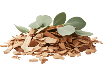 Pile of tindalo wood chips with eucalyptus leaves on a transparent background, PNG