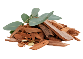 Pile of tindalo wood chips with eucalyptus leaves on a transparent background, PNG