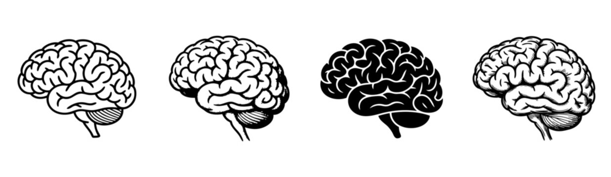 set of anatomical human brain brain side view vector illustrations, neurology and cognitive science

