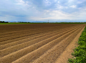 image of field in spring, agricultural work sowing, farm field, growing crops and preparing soil in spring