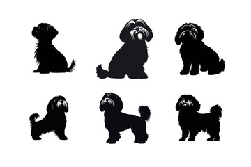 Naklejka premium Six silhouettes of shih tzu dogs in various poses