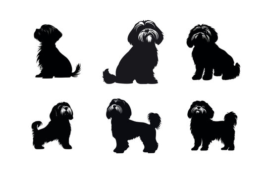 Six silhouettes of shih tzu dogs in various poses