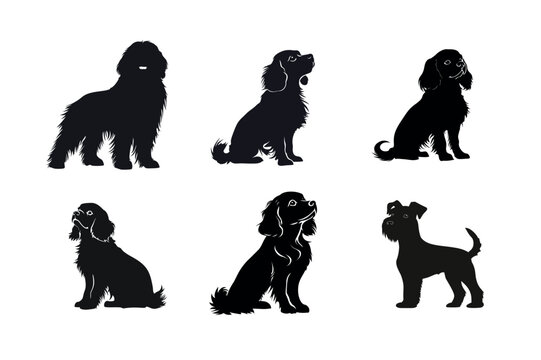 Six dog breed silhouettes cavalier king charles spaniel miniature schnauzer and more
