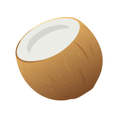 Fototapeta premium Vector illustration of a refreshing coconut with rough brown husk and white interior on white background