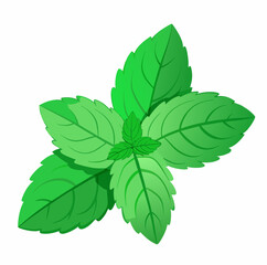 Fresh mint leaves isolated on withe background © Purnorup Dream IT 