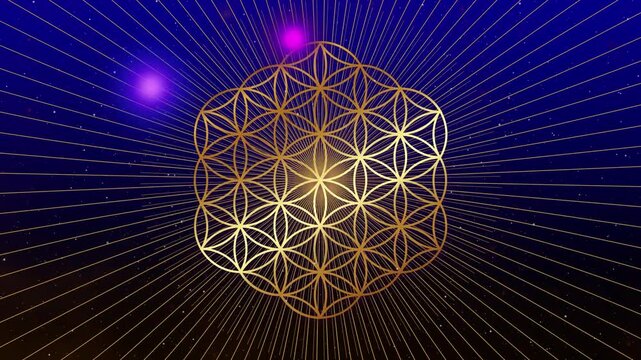 Video Animation of the seven chakra points, Flower of Life, Gold Sacred Geometry, Colors of the chakras, Loop footage symbol of yoga, meditation, spa, beauty salon, cosmetics, relax. Galaxy background