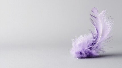 Obraz premium A single feather in a light purple hue.