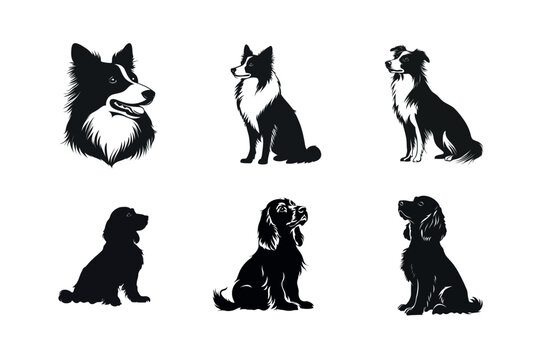 Six dog breeds silhouettes border collie cocker spaniel